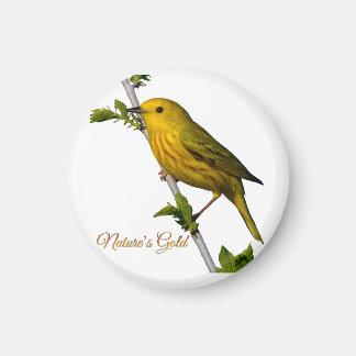 Gult Warbler "Naturens Guld" Magnet
