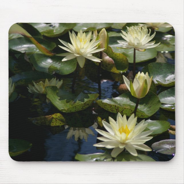 Gult Waterlily Mousepad Musmatta (Framsidan)