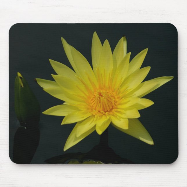 Gult Waterlily mousepad Musmatta (Framsidan)