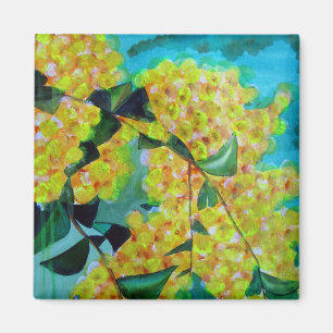 Gult Wattle Australian native Blommor art magnet