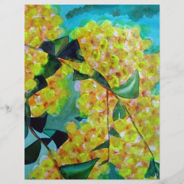 Gult Wattle native Australian blomart (Framsida)