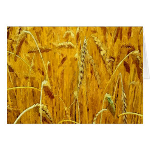Gult Wheat Fält Hälsningskort
