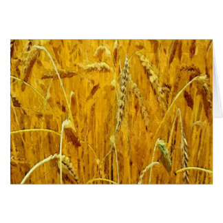 Gult Wheat Fält Hälsningskort