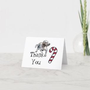 Gult White Labrador Retriever Tack Kort