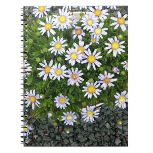 Gult White Margarita Flowers med Grått Småstens Anteckningsbok