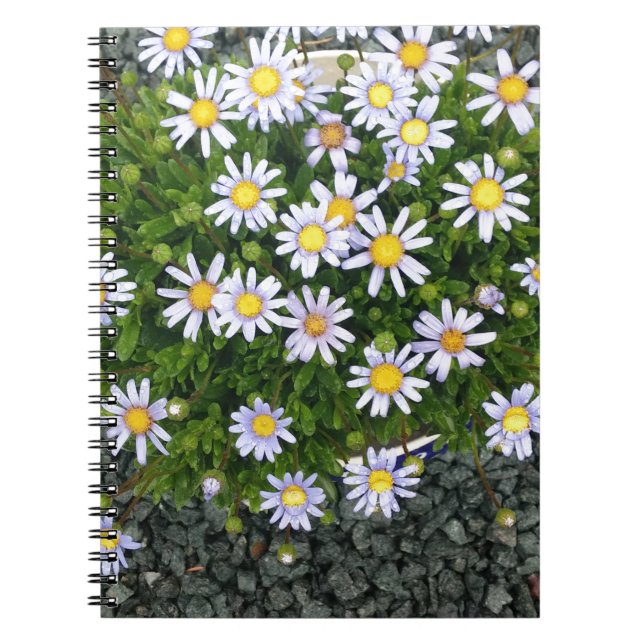 Gult White Margarita Flowers med Grått Småstens Anteckningsbok (Framsidan)
