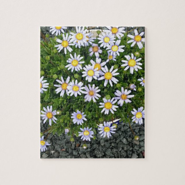 Gult White Margarita Flowers med Grått Småstens Pussel (Vertikal)