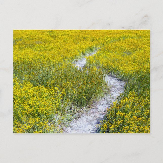 Gult Wildblomma Fält Vykort (Framsida)