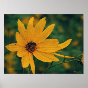 Gult Wildblomma och Bee Poster