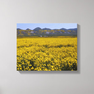 Gult Wildblomme Fält liggande Canvastryck