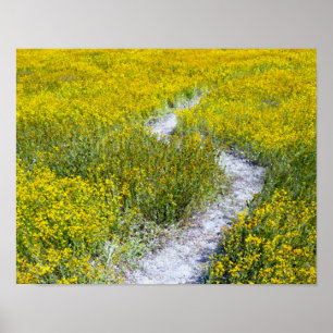 Gult Wildblomme Fält liggande Poster