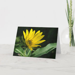 Gult Wildblomme-Tillfällen Kort