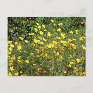 Gult Wildblommor DIY-vykort Helg Vykort