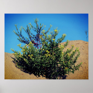 Gult Wildblommor i sand Poster