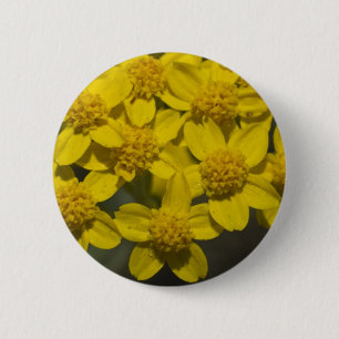 Gult Wildblommor Knapp