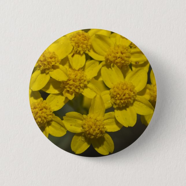 Gult Wildblommor Knapp (Framsida)
