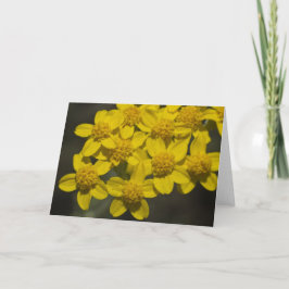 Gult Wildblommor Kort