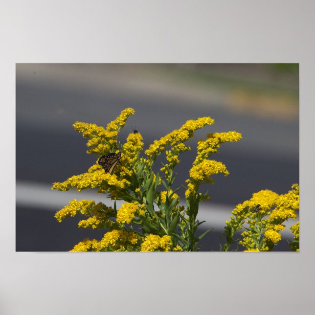 Gult Wildblommor med Butterfly Poster (Framsidan)