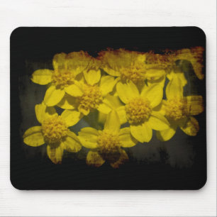 Gult Wildblommor Musmatta