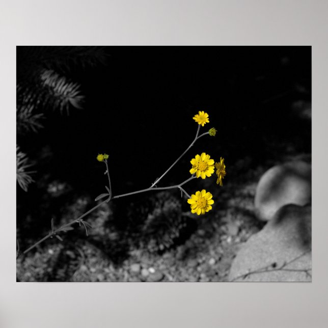 Gult Wildblommor Under en Träd-Färgad 16 x 20 Poster (Framsidan)