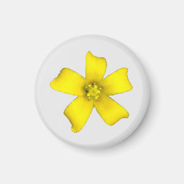 Gult Wildblomstnät Magnet