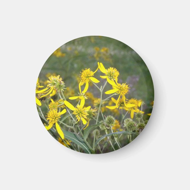 Gult Wildblomstnät Magnet (Framsidan)