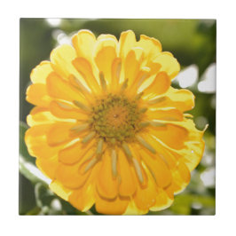 Gult-zink, gult-daisy, gult-blomma kakelplatta
