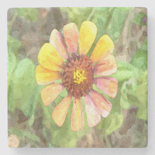 Gult Zinnia Flower Stenunderlägg