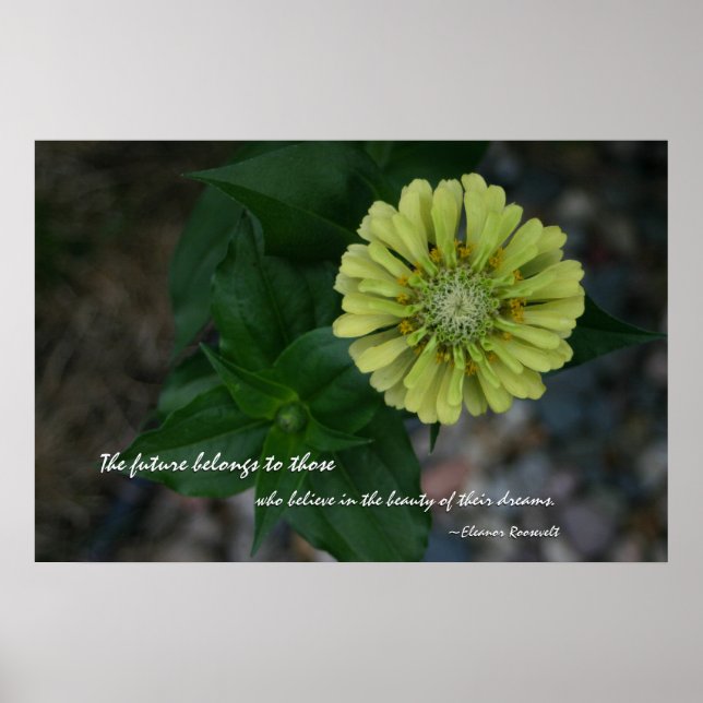 Gult Zinnia med citat av Eleanor Roosevelt Poster (Framsidan)