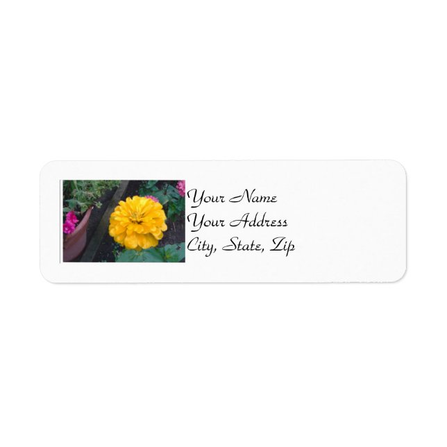 Gult Zinnia Returadress Etikett (Framsidan)