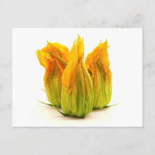 Gult zucchini-blomma vykort