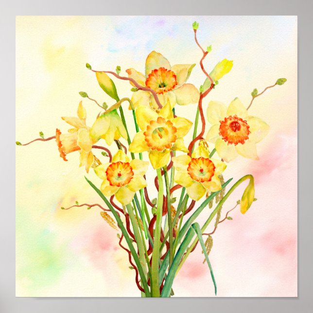 Gulten Daffodils Vår blommor Poster (Framsidan)