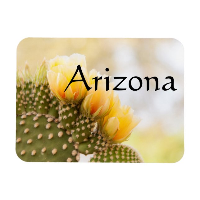 Gulten kactuserar blommor när de blommar, Arizona Magnet (Horisontell)