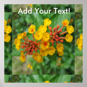 Gulten Lantana Garden Flower Poster