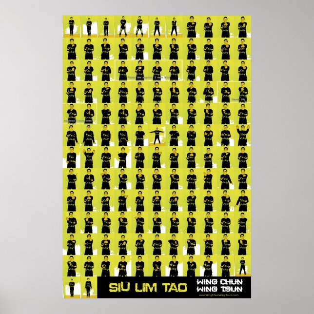 Gulten Siu Lim Tao Poster (Framsidan)