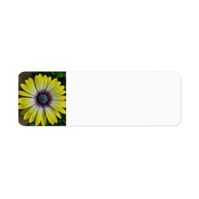 Gultens blomsteretikett returadress etikett (Framsidan)
