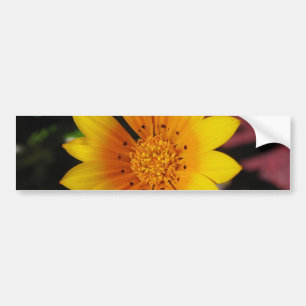 Gultens Daisy Bildekal