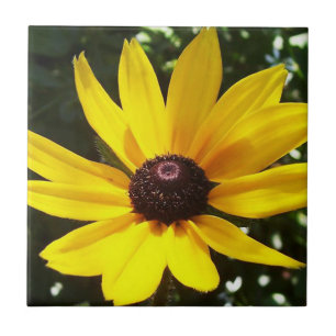 Gultens Daisy Kakelplatta
