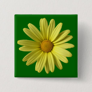 Gultens Daisy Knapp