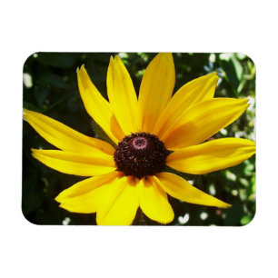 Gultens Daisy Magnet
