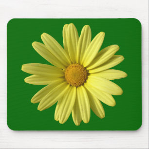 Gultens Daisy Musmatta