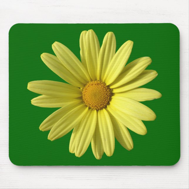 Gultens Daisy Musmatta (Framsidan)