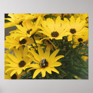 Gultens Daisy och Humla Poster