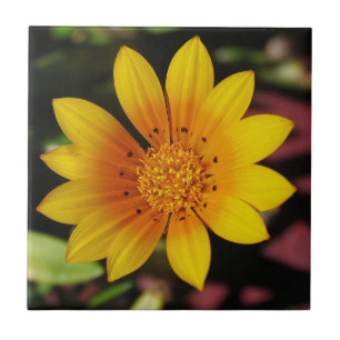 Gultens Daisy, panel Kakelplatta