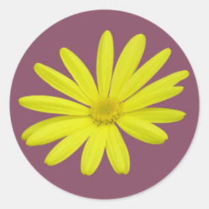 gultens daisy runt klistermärke