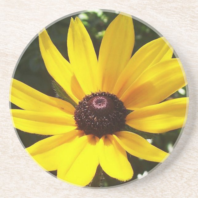 Gultens Daisy Underlägg (Framsidan)