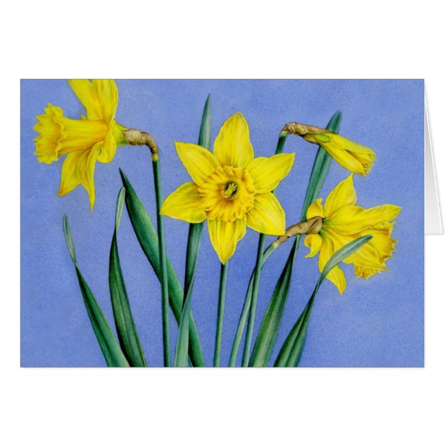 Gultens färgade vattenfärg Daffodils bildkort OBS Kort (Framsidan Horizontal)