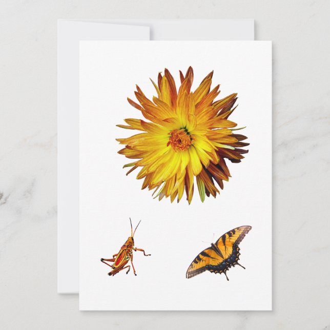 Gultens flora och fauna inbjudningar (Framsida)