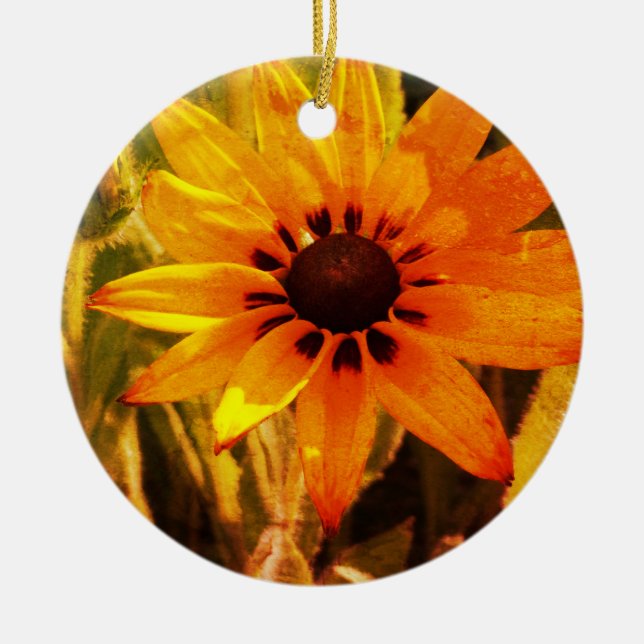 Gultens fotopakel, ornament (Framsidan)