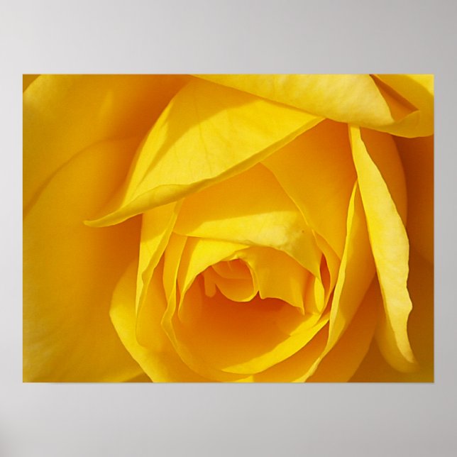 Gultens mappar poster (Framsidan)